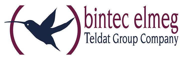 bintec Logo
